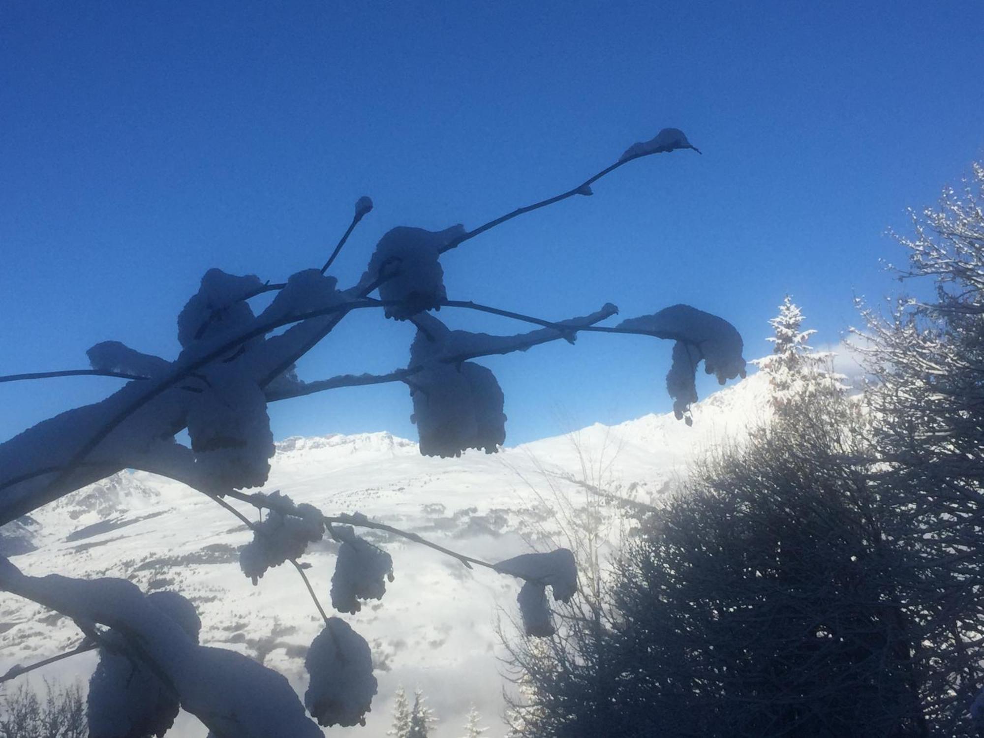 Apartamento Les Arcs 1800 Bourg-Saint-Maurice Exterior foto